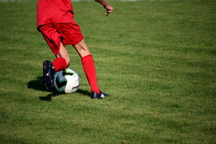 中国篮球教练员战术创新培训体系，全国篮球教练员岗位培训